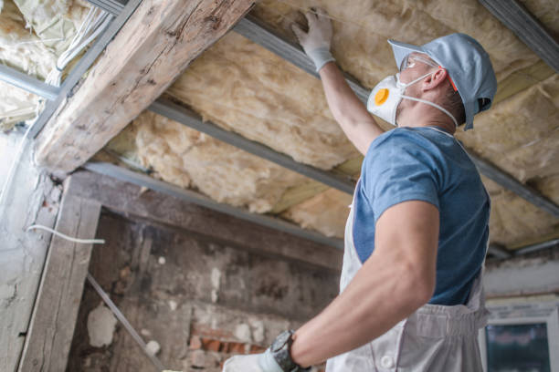 Best Spray Foam Insulation  in Mount Sterling, IL