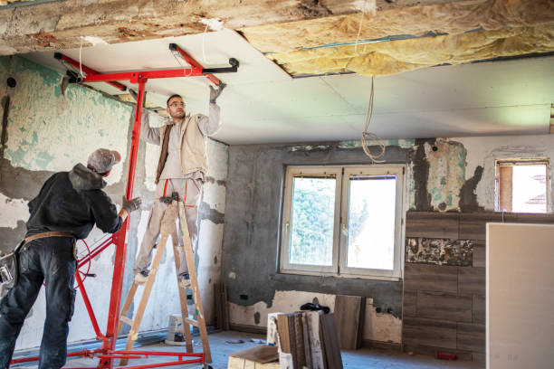Best Home Insulation Services  in Mount Sterling, IL
