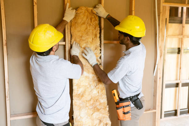 Best Soundproof Insulation Installation  in Mount Sterling, IL