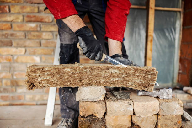 Best Cellulose Insulation  in Mount Sterling, IL