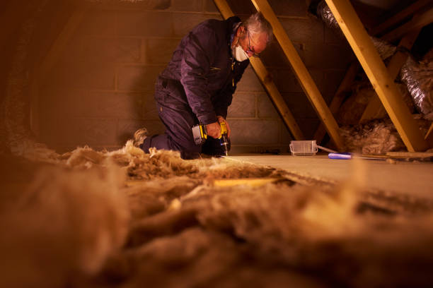 Best Insulation Removal  in Mount Sterling, IL